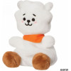 AURORA Palm Pals �������� �������� 13�� BT21 RJ