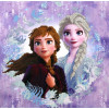 Diamond Dotz Frozen 2 Snow Sisters 40�40