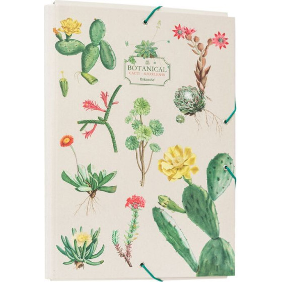 ERIK ����� ������, 3cm ����, �� ������� A4 Botanical CACTI