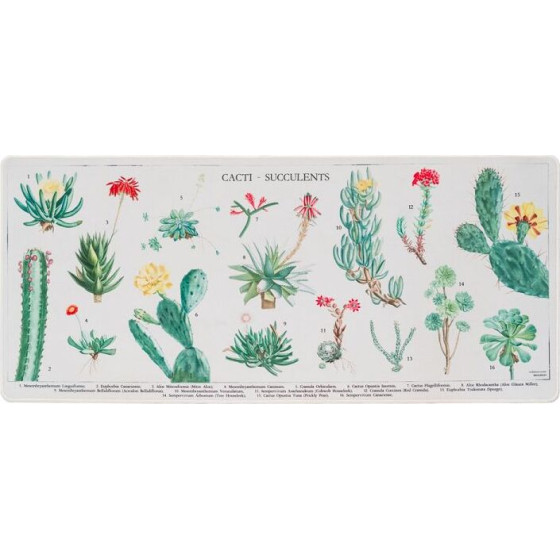 ERIK Gaming Pad / ������ Xl 35�80�� Botanical Cacti