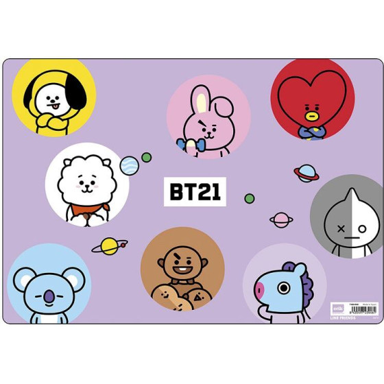 ERIK ������ BT21