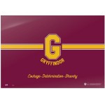 ERIK ������ ���� ����� Gryffindor