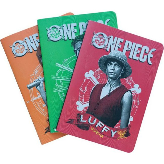 ERIK ��� 3 ��������� �5/15X21 Netflix One Piece Monkey D. Luffy, Roronoa Zoro & Nami