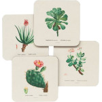 ERIK ��� 4 ������ Botanical Cacti By Kokonote
