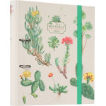 ERIK Premium ������ 2 ������ �� ������� Botanical Cacti