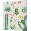 ERIK Premium ������ 2 ������ �� ������� Botanical Cacti
