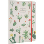 ERIK Premium �������� �5 Botanical Cacti By Kokonote
