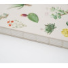 ERIK Premium �������� �5 Botanical Cacti By Kokonote
