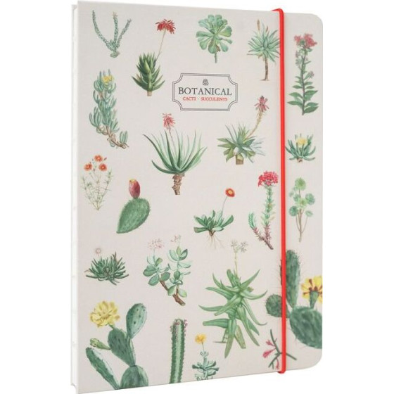 ERIK Premium �������� �5 Botanical Cacti By Kokonote