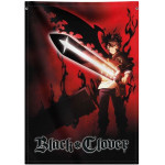 ERIK ������������ ���� 70�100�� Black CLOVER