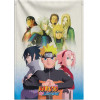 ERIK ������������ ���� 70�100�� Naruto (Anime Collection)