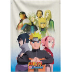 ERIK ������������ ���� 70�100�� Naruto (Anime Collection)