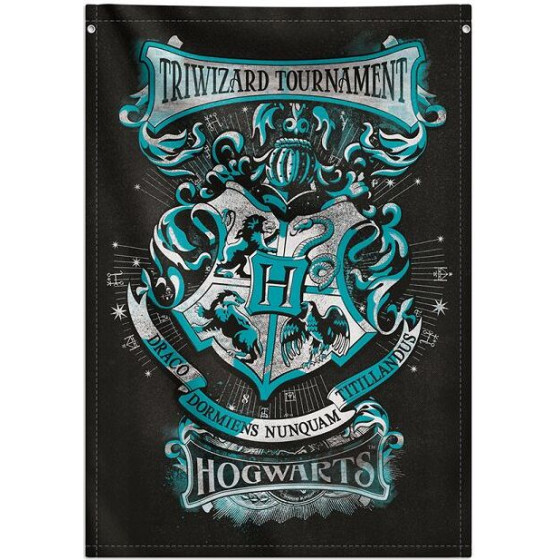 ERIK ������������ ���� 70�100�� ���� ����� Hogwarts HOUSES