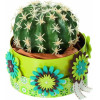 FOLIA ������� ��������� ������, 11��� Lime