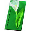FOLIA ����� �� ��������� ��������, 23�33 ��, ��� 10 �������