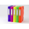 LOGIGRAF Fluo K���� Pp �� ������� 25X35 5�� ���