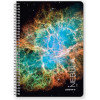 LOGIGRAF Nebula �������� ������ Wirelock �5/17�25 3 ������ (6���)
