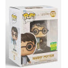 Funko Pop! Harry Potter - Harry Potter (Convention Limited Edition) #173 Vinyl Figure