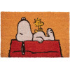 ERIK ������ ������� SNOOPY