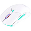 Hp - Inc Hx Mouse Wrls Pulsfre HASTE2 Wh - (8R2E7AA)