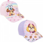 CERDA ������� ������ 53�� Paw Patrol Skye �� 2 ������