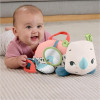 Fisher Price :Planet Friends - Tummy Time Roaming Rhino (HYR55)