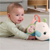 Fisher Price :Planet Friends - Tummy Time Roaming Rhino (HYR55)