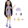 Mattel Barbie Dream Besties Roller Skate: Renee (JFX99)