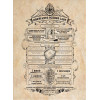 Pyramid: Harry Potter (Map And School List) Boxed Posters (52x38cm) (PPB35442)
