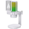 Maono DGM20 Microphone (white) - (DGM20 white)
