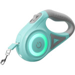Rojeco �������� ����� ������ LED 5 m (�������) - (RQYS-04 green)