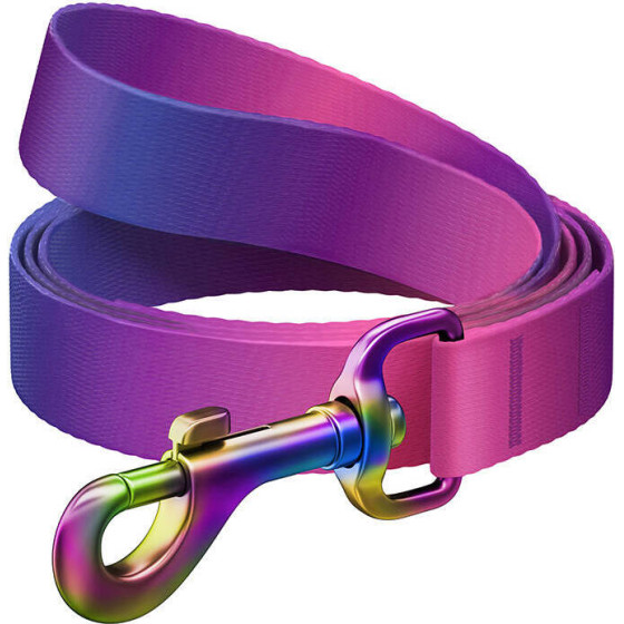 Waudog gradient nylon dog leash, 15mm wide, 122cm long, purple - (46629)