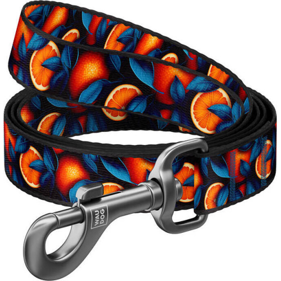 Waudog Nylon dog leash, pattern ''Oranges'' length 122 cm - (341-4054)