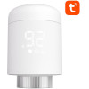 Avatto ������� ������� ���������� Tuya (�����) - (TRV16 zigbee)