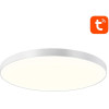 GOSUND Smart Ceiling Lamp 32cm WiFi/Bluetooth 16M Rgbcw 1920lm Tuya + Remote Control. - (LB11)