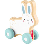 Fisher-Price: Wooden Push-Along Bunny (JDM52)
