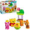 Lego Duplo Disney(TM): Winnie The Poohs Birthday Party (10457)