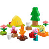 Lego Duplo Peppa Pig: Camping Trip (10452)