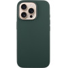 Idol 1991 ���� Iphone 16 Pro Max 6.9'' Velvet Magsafe Tpu Camera Lake GREEN