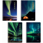 LOGIGRAF Aurora �������� ������ Wirelock B5/17�25 4 ������ (6���)