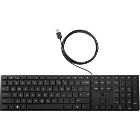 HP 320K Wired Keyboard Gr - (9SR37UT)