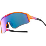 Rockbros SP297 polarizing cycling glasses - purple - (Rockbros-14130001003)