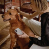 UNIQ Coehl Solitaire case for iPhone 14 Plus - transparent - (Uni000795-0)
