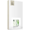 Tech-Protect MagMat MagSafe iPhone 15 Case - Clear Green - (25052-0)