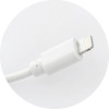 Blue Star Travel Charger 1A 5W Usb A + Cable Usb A To Lightning TFK-TC-1100B white