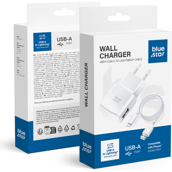 Blue Star Travel Charger 1A 5W Usb A + Cable Usb A To Lightning TFK-TC-1100B white