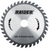 RAIDER ������ ����� ����� �30/�250/60������ - (163117)