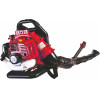 RAIDER ��������� ����/��� 1.7hp RD-GB06 - (077402)