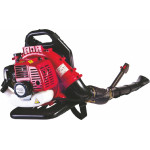 RAIDER ��������� ����/��� 1.7hp RD-GB06 - (077402)