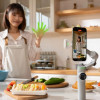 Insta360 Flow 2 Pro Ai Tracker - Built-In Spotlight - (CINSBBQA)